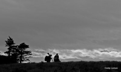 Photographers on Roan Mountain