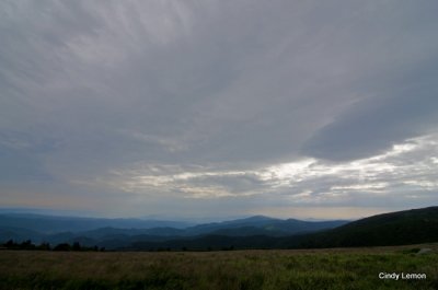 Early Morning on Roan Mountain
