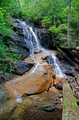 Waterfall in Log Hollow