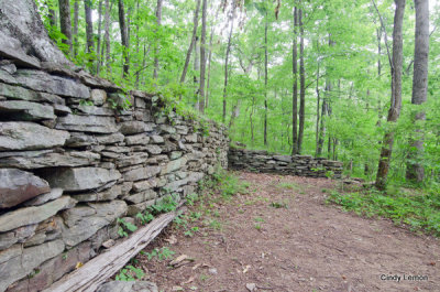 Rattlesnake Lodge - Old Barn Remains