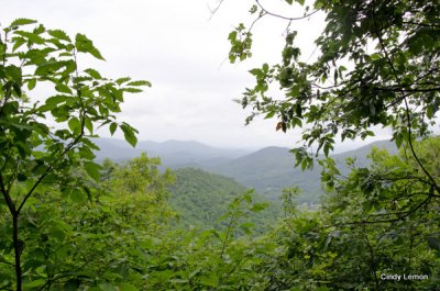 Mountain to Sea Trail - View From the Trail