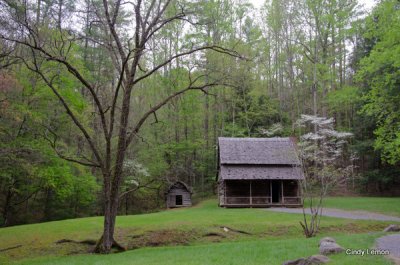 Cades Cove in April