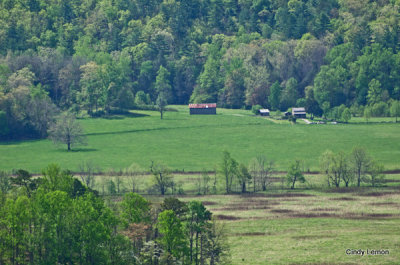 Another View from Rich Mountain Road