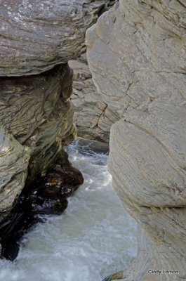DSC_8072a.jpg