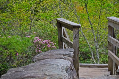 DSC_8133a.jpg