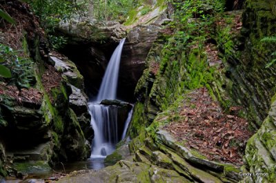 DSC_8161a.jpg