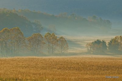 Day 2 of Cades Cove Fall Trip