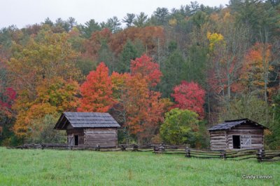 Looking Towards the Cabin