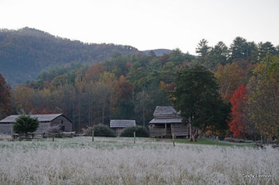 Fall Leaves and Frosty Mornings