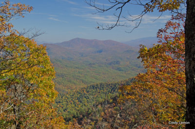 Rich Mountain Trail 3