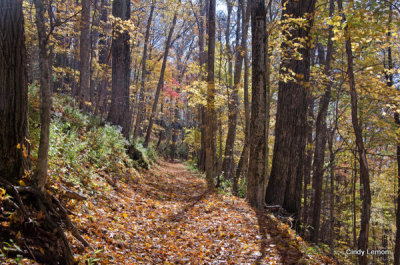 Rich Mountain Trail 5