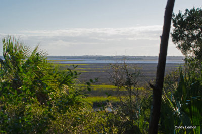 Willie Browne Trail - More Views of the Salt Marsh
