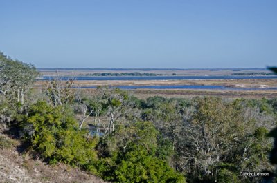 Willie Browne Trail
