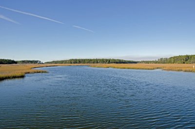 Harris Neck National Wildlife Refuge