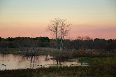 Sunset Over Greenhead Pond