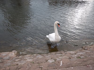 Exeter Quay