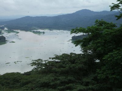 Colon, Panama -Gamboa rainforest, looking down on the Gamboa river