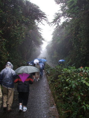 Puentarenas, Costa Rica -at 8000ft, walking 1/2 mile up to Poas Volcano in pouring rain
