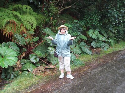 Puentarenas, Costa Rica -Poas Volcano, me in the pouring rain 