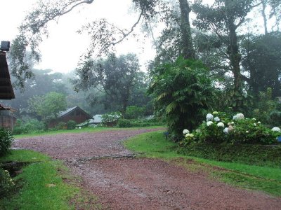 Puentarenas, Costa Rica -still pouring rain