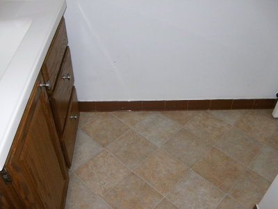 This is vinyl but really really looks and feels like tile!