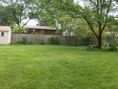 Along the back