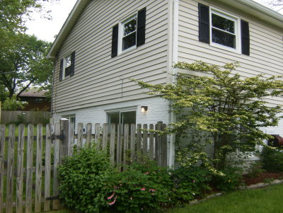 The black shutters look great