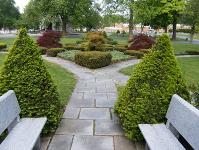 In the garden