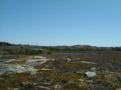 This is the south shore of NS; the big rocks were deposited by glaciers