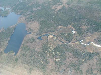 The view of Nova Scotia from the air; lots and lots of lakes