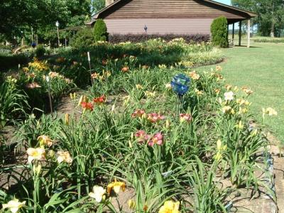 The front beds