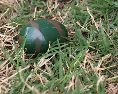 Camo Easter Egg