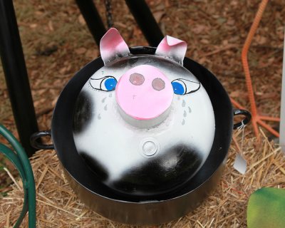 Pig In A Pot