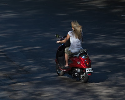 Miss MOPED