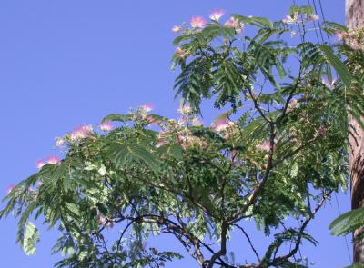 DSCN9069-halfsize-c2.jpg