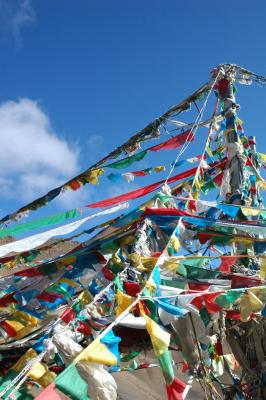 060527~0611_tibet1497.jpg