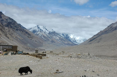 060527~0611_tibet1593.jpg