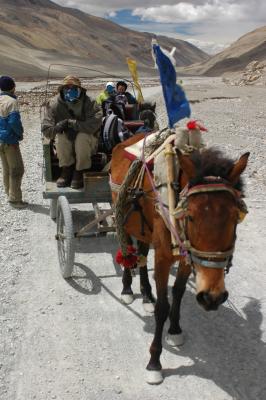 060527~0611_tibet1599.jpg