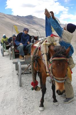 060527~0611_tibet1613.jpg