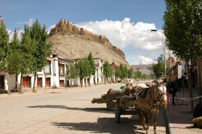 060527~0611_tibet1348.jpg