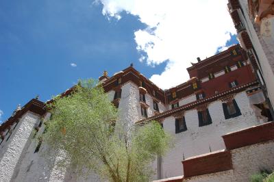 060527~0611_tibet2326.jpg