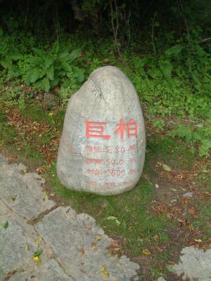 g4/46/358246/3/62340392.Fkt1sN7c.jpg