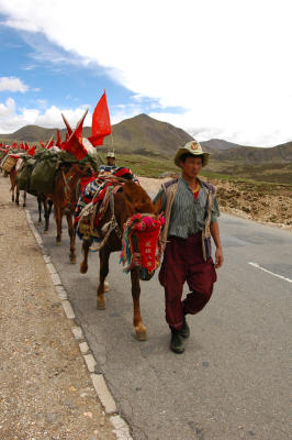 060527~0611_tibet2695.jpg