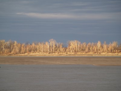 Mississippi River - 1-1-2011 at Tiptonville Landing, Lake Co, TN.