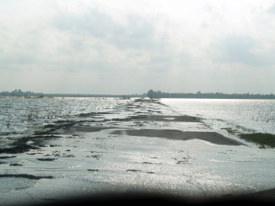 Highway 79 - 4-22-2011 - Water rising