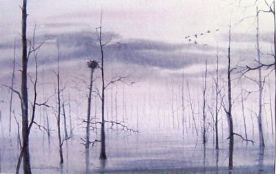 JRW - Dawn - Reelfoot Lake - Osprey Nest -