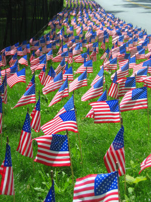 Flags at the cemetery6201