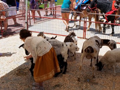 Petting Zoo, Farmer's Market, Santa Monica, CA