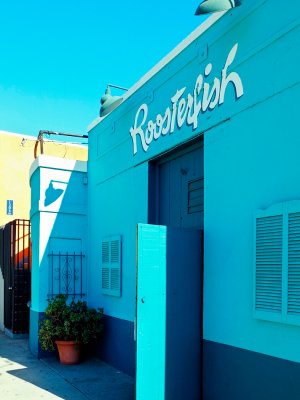 Roosterfish, Venice CA