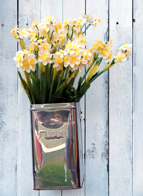 Flowers in Flour Container, Lafayette, NJ